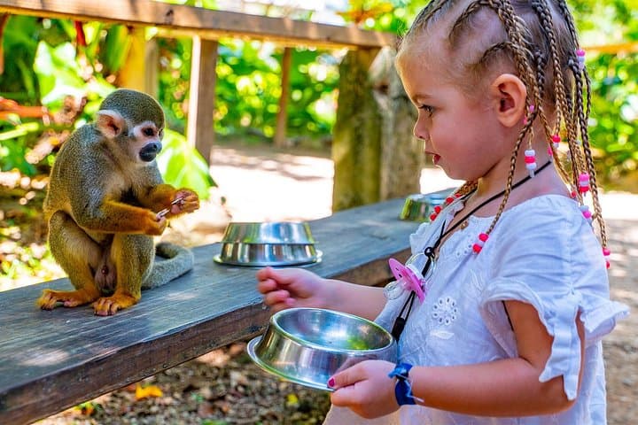 Monkeyland & Plantation Safari — Squirrel Monkeys, Coffee & Country Life