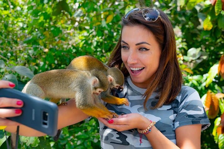 Monkeyland & Plantation Safari — Squirrel Monkeys, Coffee & Country Life photo 3