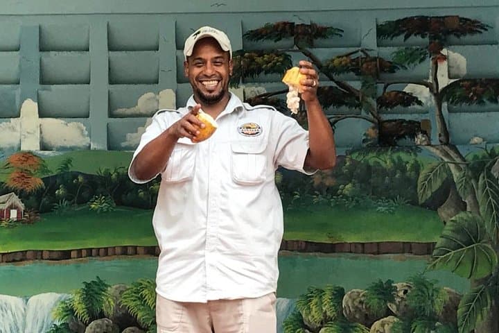 Monkeyland & Plantation Safari — Squirrel Monkeys, Coffee & Country Life photo 6