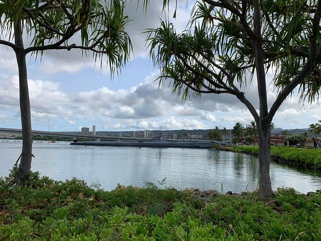 Custom Private Island Tour — Oahu, Maui, Kauai or Big Island (Pick Your Route) photo 5