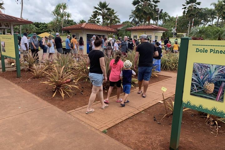 Custom Private Island Tour — Oahu, Maui, Kauai or Big Island (Pick Your Route) photo 6