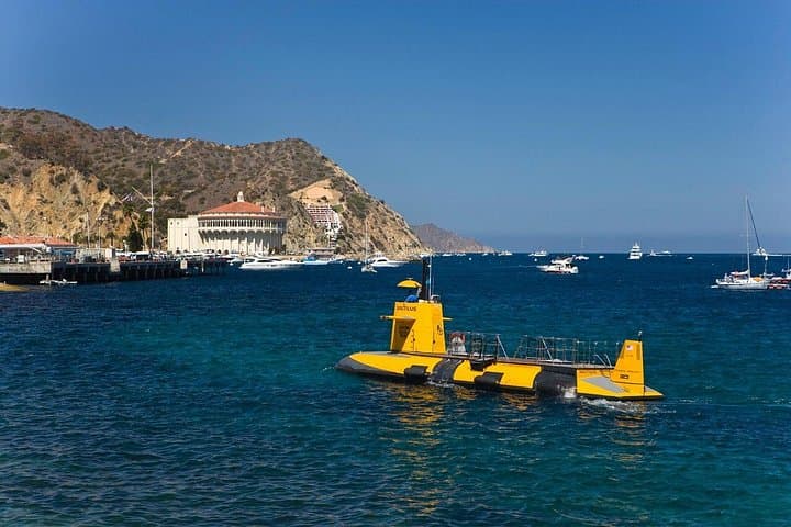 Catalina Island Day Trip from LAX with Undersea Adventure photo 6