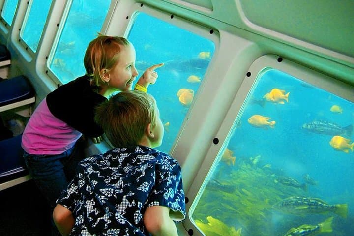 Catalina Island Day Trip from LAX with Undersea Adventure