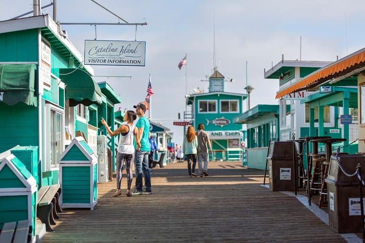 Catalina Island Day Trip from LAX with Undersea Adventure photo 4