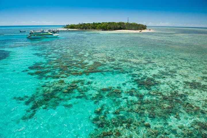Green Island Half-Day Trip from Cairns — Snorkel the Great Barrier Reef photo 6