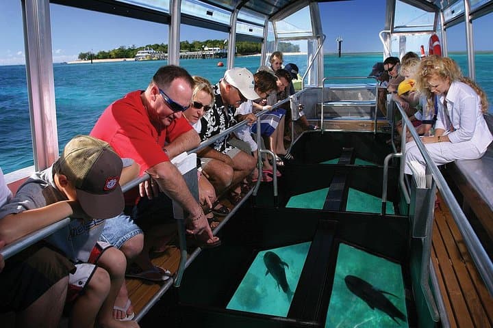 Green Island Half-Day Trip from Cairns — Snorkel the Great Barrier Reef