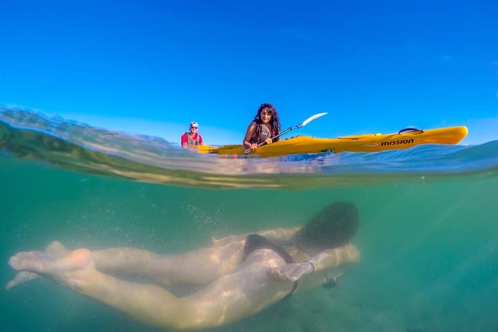 Family Kayak Cruise to Split Apple Rock from Marahau