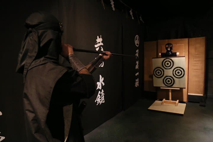 Tokyo Ninja Lesson: 1-Hour Hands-On Training with a Japanese Master photo 2