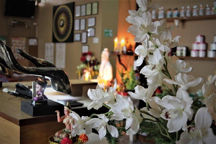 Learn Traditional Thai Massage in Bophut: 1-Hour Intro at Samui Spa School photo 5