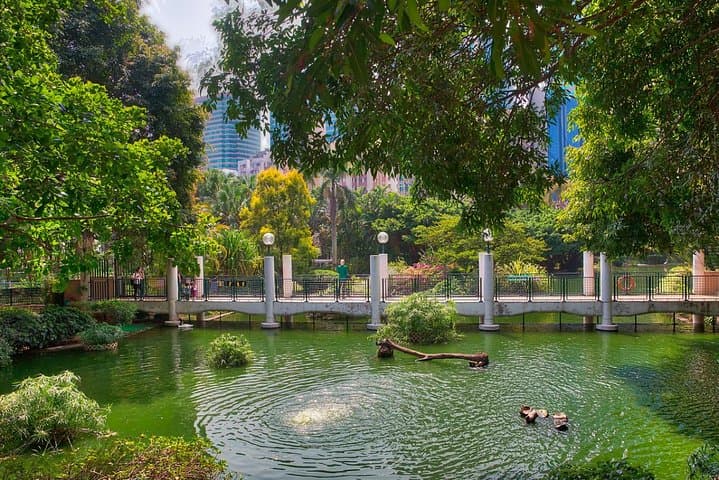 See Hong Kong Like a Local: Private 6-Hour Customized City Tour photo 5