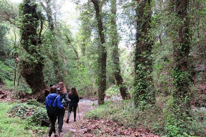 Richtis Gorge Day Hike & Hidden Gems from Agios Nikolaos photo 3