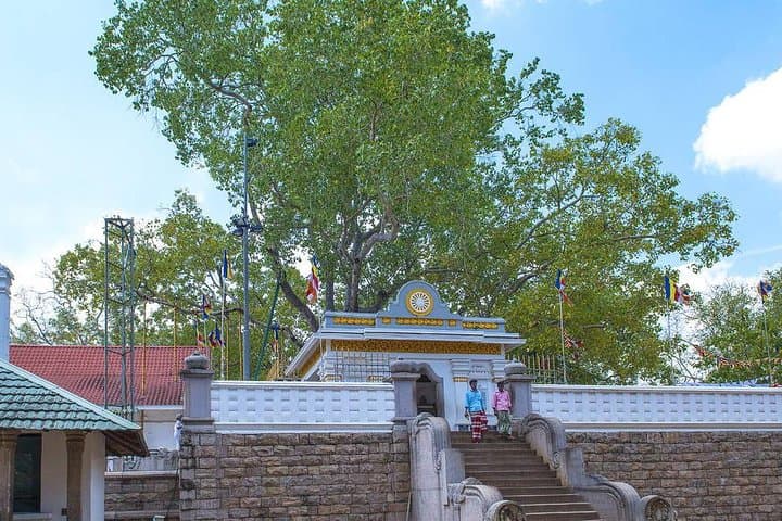 Anuradhapura Private Day Trip: Explore Ancient Sacred Sites from Colombo photo 4