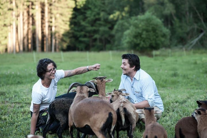 Hands-On Farm Adventure at Edermühle: Feed, Pet & Learn in Lower Austria