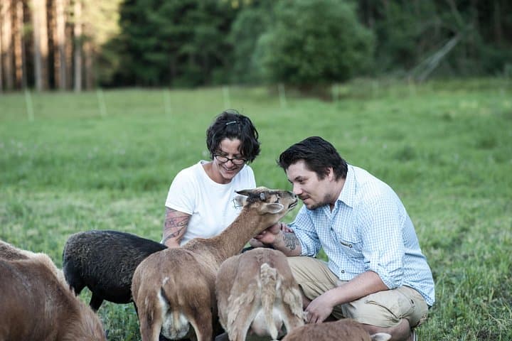 Hands-On Farm Adventure at Edermühle: Feed, Pet & Learn in Lower Austria photo 2