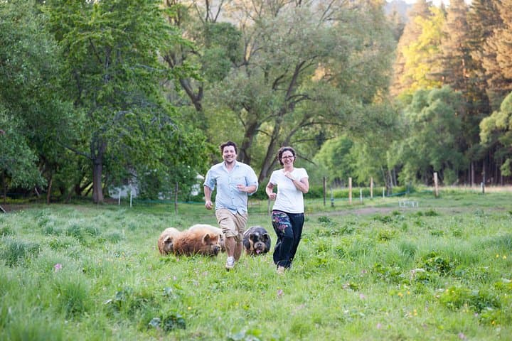 Hands-On Farm Adventure at Edermühle: Feed, Pet & Learn in Lower Austria photo 3