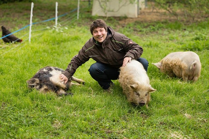 Hands-On Farm Adventure at Edermühle: Feed, Pet & Learn in Lower Austria photo 6