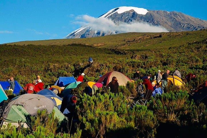 7-Day Machame Route: Conquer Mount Kilimanjaro via the Whiskey Route
