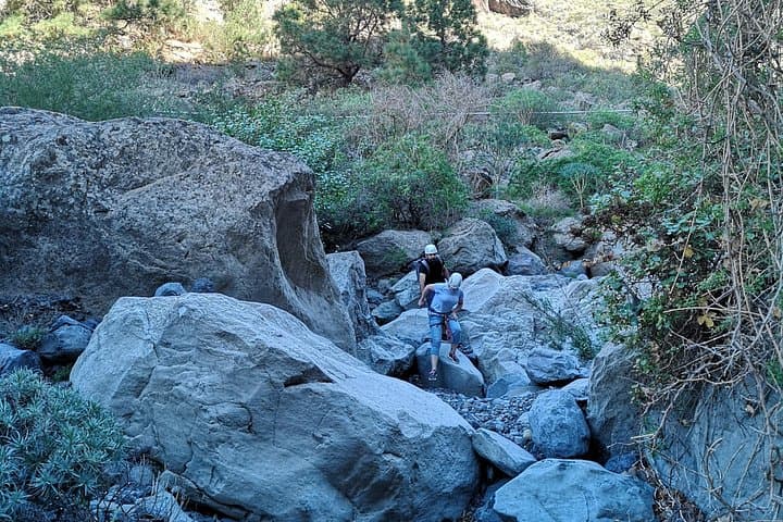 Canyoning the Guaria Ravine: Rappels, Lava Walls & Dragon Trees in Tenerife photo 4