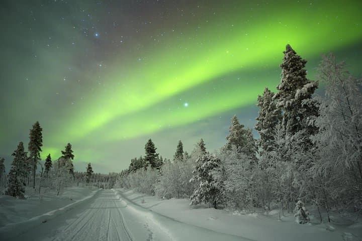 Northern Lights Picnic from Rovaniemi: Aurora Hunt with Campfire and Hot Drinks photo 5
