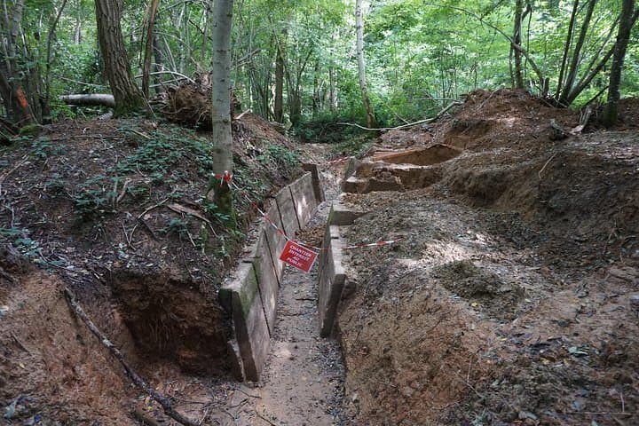 Argonne Forest WW1 Trench & Bunker Walk — Guided 3-Hour Battlefield Tour photo 6