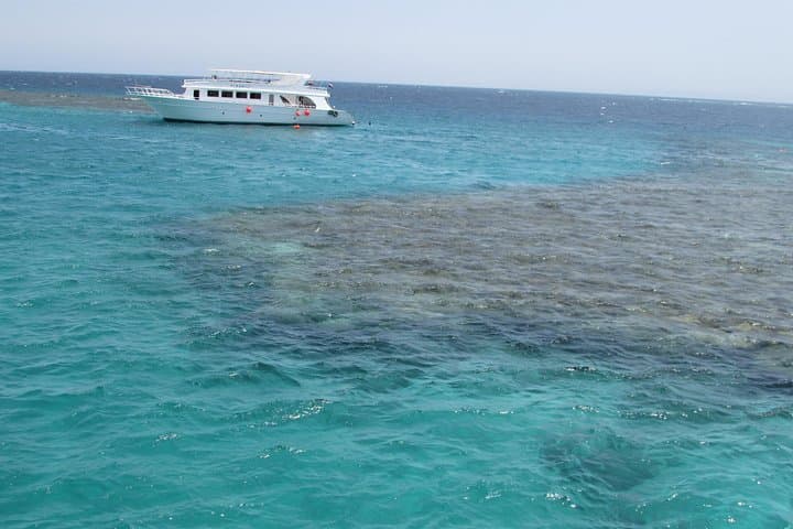 Orange Bay Snorkel Trip from Hurghada — Half-Day Red Sea Adventure with Lunch photo 3