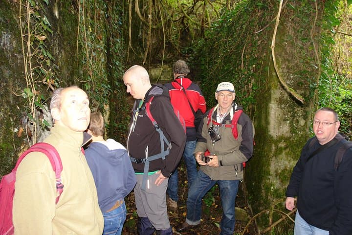 Argonne Forest WW1 Trench & Bunker Walk — Guided 3-Hour Battlefield Tour photo 3