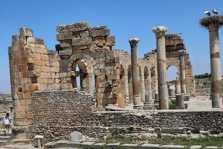 Private Day Trip from Fez to Volubilis & Meknes — Roman Ruins, Imperial Gates, and Rural Vistas photo 4
