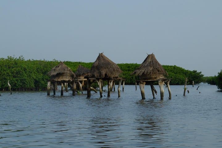 Fadiouth Shell Island Day Trip from Dakar: Joal’s Oyster-Covered Village & Sacred Baobab