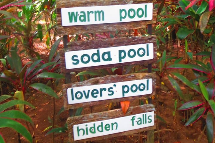 Hidden Valley Springs Day Escape: Hot Pools, Waterfalls & Forest Walks from Manila photo 3
