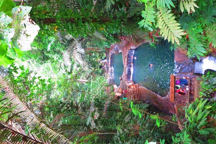 Hidden Valley Springs Day Escape: Hot Pools, Waterfalls & Forest Walks from Manila photo 4
