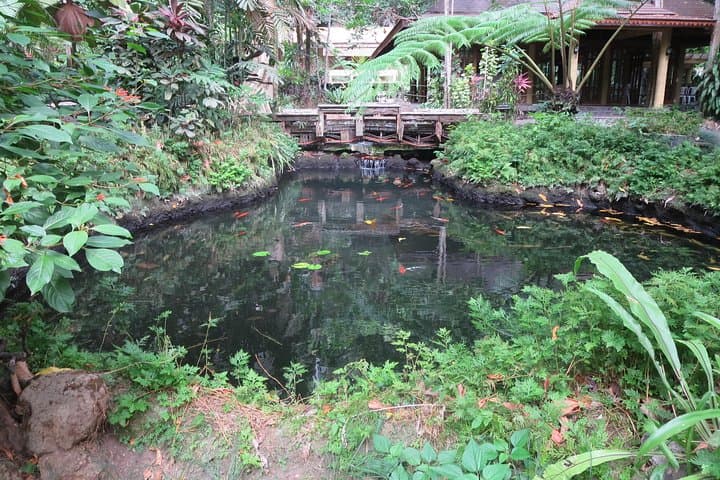 Hidden Valley Springs Day Escape: Hot Pools, Waterfalls & Forest Walks from Manila photo 5