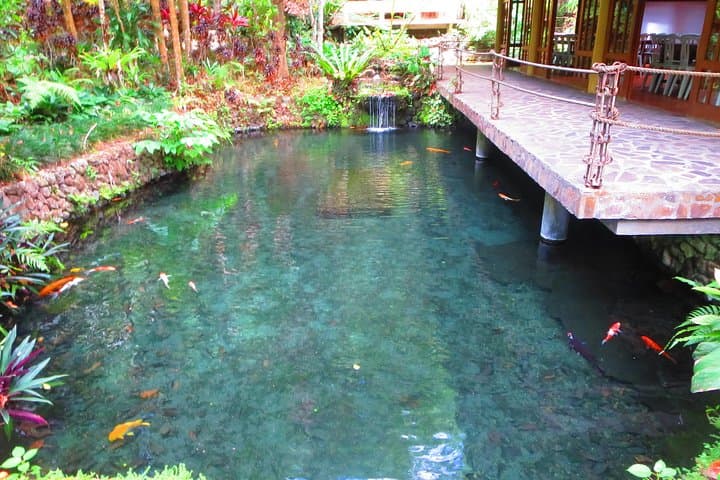 Hidden Valley Springs Day Escape: Hot Pools, Waterfalls & Forest Walks from Manila photo 6