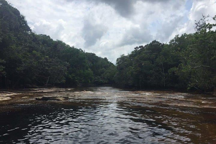 Day Trip to Cachoeiras Presidente Figueiredo — Waterfalls & Jungle Rivers from Manaus photo 3
