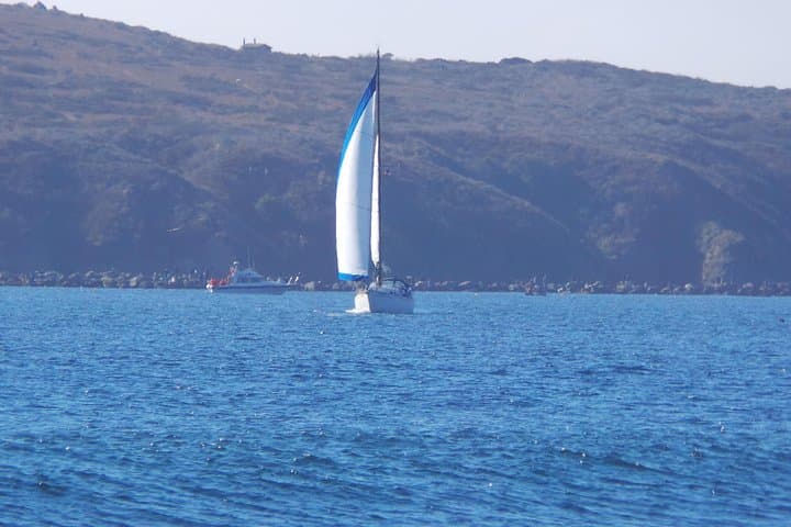 Private Sailing Tour of Bodega Bay — 3-Hour Coastal Cruise with Captain photo 1