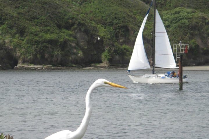 Private Sailing Tour of Bodega Bay — 3-Hour Coastal Cruise with Captain photo 3