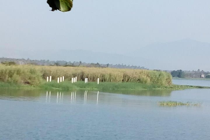 Coyuca Lagoon Adventure: Boat Tour, Wildlife & Lunch from Acapulco photo 4