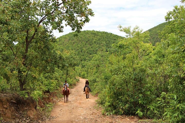 Half-Day Mountaineering and Horseback Adventure near Inle Lake photo 3