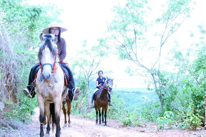 Half-Day Mountaineering and Horseback Adventure near Inle Lake photo 4