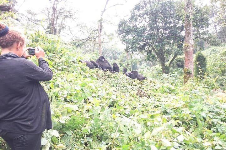 Gorilla Trekking in Rwanda: 5-Day Volcanoes National Park Adventure photo 1