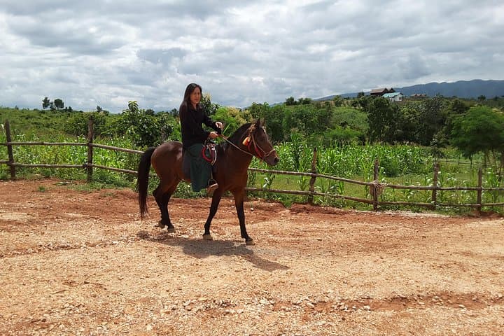 Quarter-Day Horseback Adventure on the Shan Hills near Kalaw