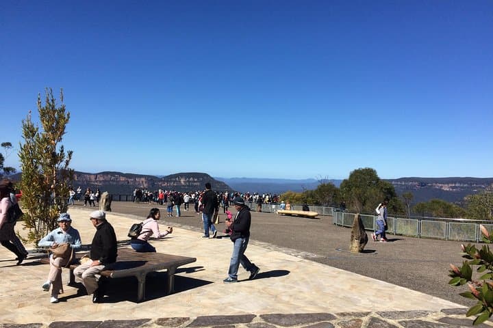 Private Blue Mountains Day Tour from Sydney — Koalas, Kangaroos, Scenic Views & River Cruise photo 5