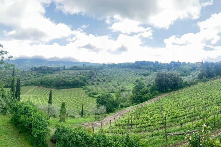 Chianti Vineyards Private Tour: Full-Day Luxury Van Wine Tasting from Florence photo 5