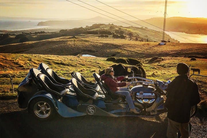 V8 Trike Tour: Dunedin Peninsula & Octagon Shore Excursion photo 4