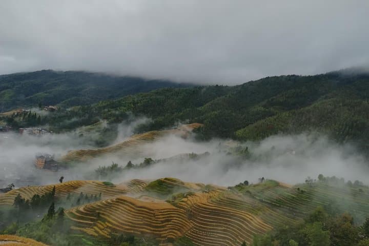 Longji Rice Terraces Day Tour from Guilin — Ping'an Viewpoints & Longhair Village photo 5