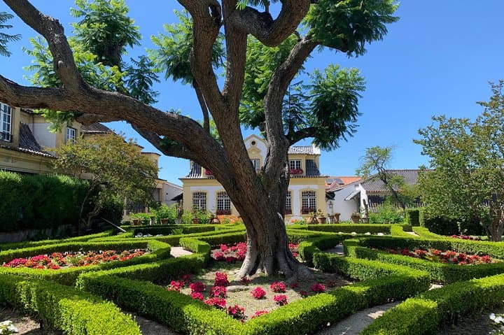 Setúbal Wine Tour: Moscatel Tasting & Two Historic Wineries from Lisbon photo 4