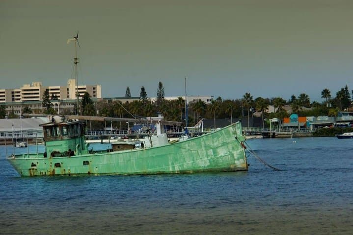Egmont Key Snorkeling Dolphin Tour — Snorkel Historic Ruins and Grass Flats from Madeira Beach photo 3