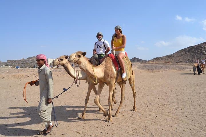Hurghada Desert Quad Safari: Dunes, Bedouin Tea & ATV Adventure photo 3