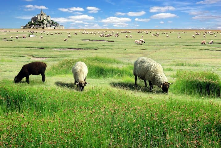 3-Day Normandy, Mont Saint-Michel & Loire Valley Tour from Paris photo 4