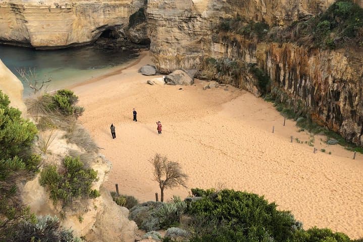 Private Great Ocean Road Local Tour: 12 Apostles, Otways & Wildlife photo 2