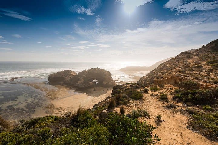 Around the Bay Sightseeing and Bay Cruise — Geelong to Mornington Peninsula Day Tour photo 3